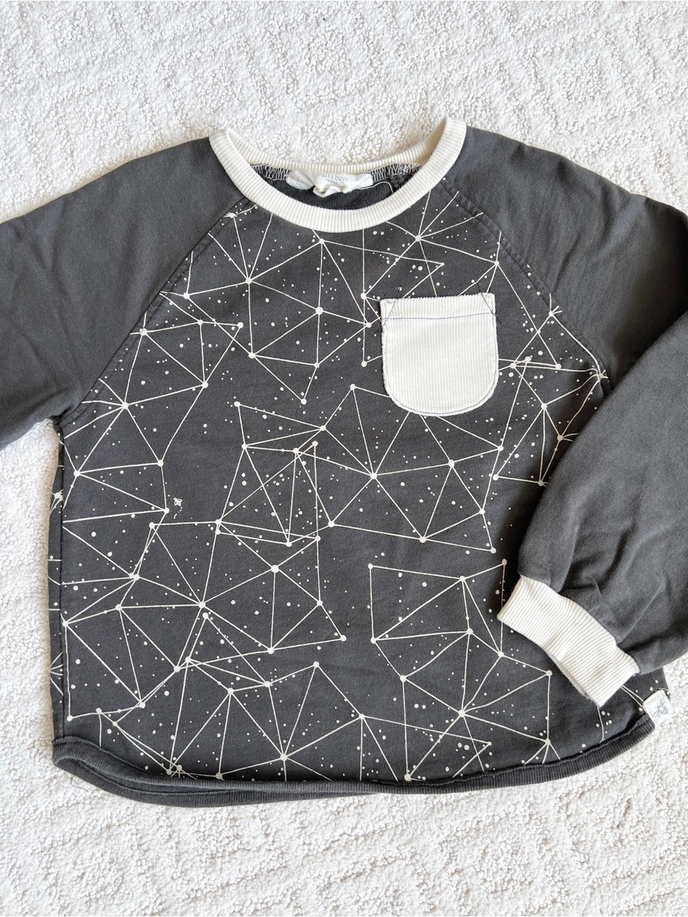 Burt’s Bees Boys Sweatshirt - 5T